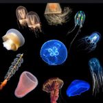 Profile Picture of Adam Vernon (@sk1ttles1234) on Instagram