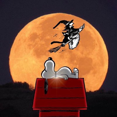 Profile Picture of Barbara Cibella (@BabsCib) on Twitter