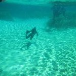 Profile Picture of Susy Kim (@susyakim) on Instagram