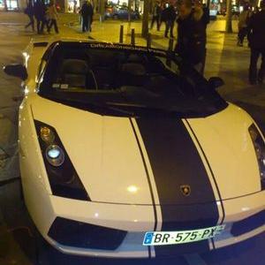 Profile Picture of Alex Bedon (@alexbedon39) on Twitter