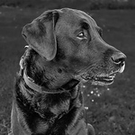 Profile Picture of Kristian Kloth-andersen (@lumixlx15) on Flickr