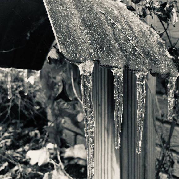 Profile Picture of Jacob Fischer (@jacobwfischer10) on Poshmark