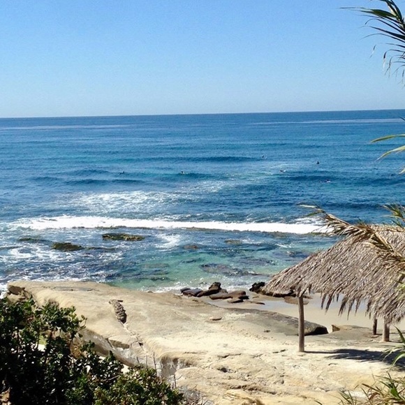 Lacey Robinson - Poshmark Profile Picture of Lacey Robinson (@yearbym12) on Poshmark