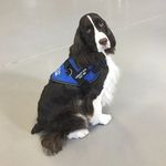 Profile Picture of Percy Royston (@percy.royston) on Instagram