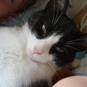 Profile Picture of Ian Lado (@ianlado) on Youtube