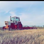 Profile Picture of Jared Sommerfeld (@jared_sommerfeld) on Instagram