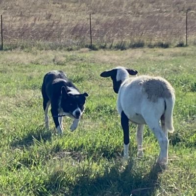 Profile Picture of Charles Holt (@CharlesHolt) on Twitter