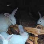 Profile Picture of Matthew Kieti (@Matthew-Kieti) on Facebook