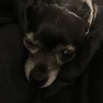 Profile Picture of Steven Medrano (@stevenm.clt) on Instagram