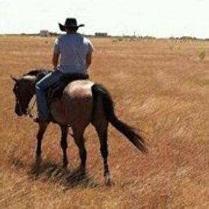 Profile Picture of Kevin Tapia (@tapiakevin) on Myspace