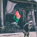 Profile Picture of Abdullah Kakar (@abdullah.kakar.9) on Facebook