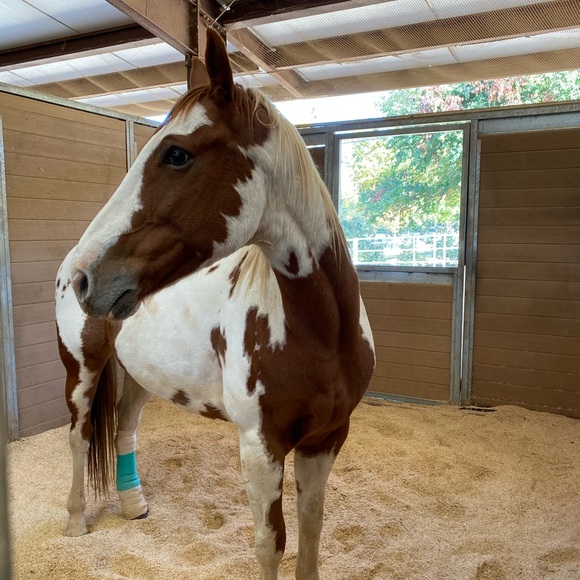 Brooklyn Buttler - Poshmark Profile Picture of Brooklyn Buttler (@brookb794) on Poshmark