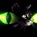 Profile Picture of Gilles Debidart (@gilles.debidart.3979) on Facebook