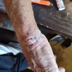 Profile Picture of Craig Knight (@Craig-Knight) on Facebook