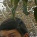 Profile Picture of Kambiz Javaheripour (@kambiz.javaheripour) on Facebook
