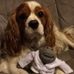 Profile Picture of Shirley Tyrrell (@Shirley-Tyrrell) on Facebook
