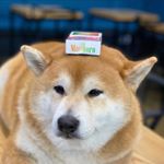 Profile Picture of Josh Kim (@_joshkimm) on Instagram