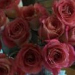 Profile Picture of Lorrie Adams (@arkadoo) on Instagram