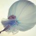 Profile Picture of Pauline Hawker (@Pauline-Hawker) on Facebook
