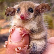 Profile Picture of Barnett Smith (@barnettsmith8525) on Youtube