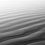 Profile Picture of Marci Bohlmann (@marci_b5ohlmann) on Instagram