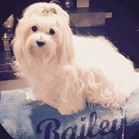 Profile Picture of Danny Botkins (@danny-botkins) on Quora