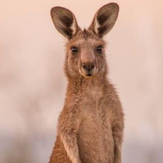 Profile Picture of Rory Close (@rory.close.1441) on Facebook