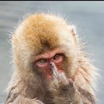 Profile Picture of Chris Lessing (@christo_les) on Instagram