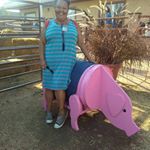 Profile Picture of Jillian Mabe (@misspiggy8313) on Instagram