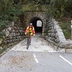 Profile Picture of Vasja Benedetič (@vbenedetic) on Instagram