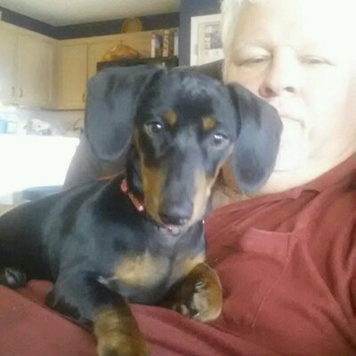 Profile Picture of Bryant Brooks (@handymn955) on Twitter