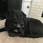 Profile Picture of Robin Doherty (@robinm.doherty) on Instagram