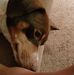 Profile Picture of Glenn Rogge (@glenn.rogge.3) on Facebook