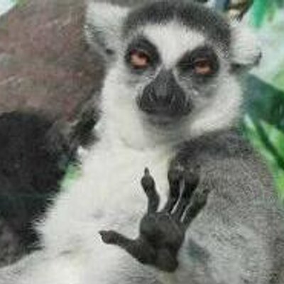 Profile Picture of Jacob Luster (@Paradi9mShif7) on Twitter