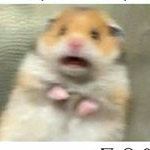 Memento mori - Instagram Profile Picture of Memento mori (@alexandrakwon) on Instagram