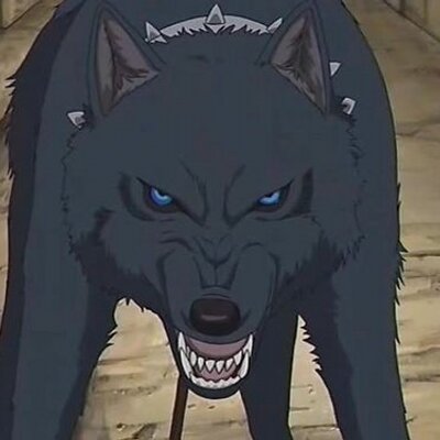 Profile Picture of Jas Gray (@ZannaWolfBlood) on Twitter