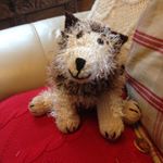 Profile Picture of Fiona Pearce (@knitmypet) on Instagram