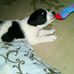 Profile Picture of Cindy Calvert (@cindy.calvert.1485) on Facebook