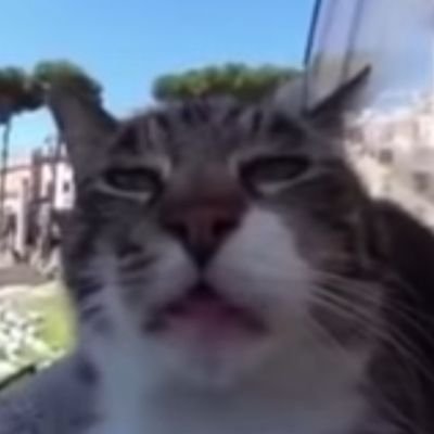 Profile Picture of David Norberg (@DavidNorberg11) on Twitter