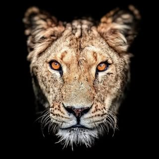 Profile Picture of aditrathi1 (@aditrathi1) on Instagram