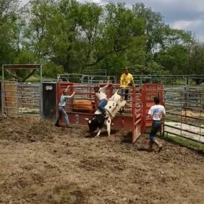 Profile Picture of Brady Malone (@BradyMalone55) on Twitter