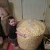 Profile Picture of Robert Guarnieri (@robert.guarnieri.505) on Facebook
