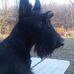 Profile Picture of Gino Scottie (@gino.scottie) on Facebook