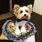 Profile Picture of Benjamin (@benya_kovalchuk) on Instagram