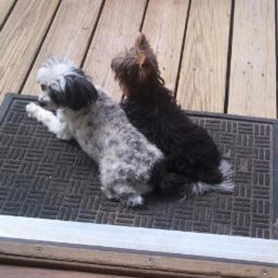 Profile Picture of Jessica Hays (@Stuck_in_love) on Twitter