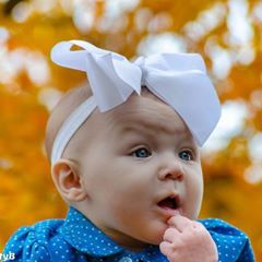 Profile Picture of Scott Beasley (@scottbeasley5) on Tiktok