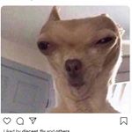 Profile Picture of Jason (@jasonborn.05) on Instagram