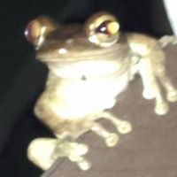 Profile Picture of Misty Craighead-Frankenberry (@craigheadfranke) on Pinterest