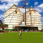 Profile Picture of Michelle McGartlin Williams (@michelle.m.williams.984) on Instagram