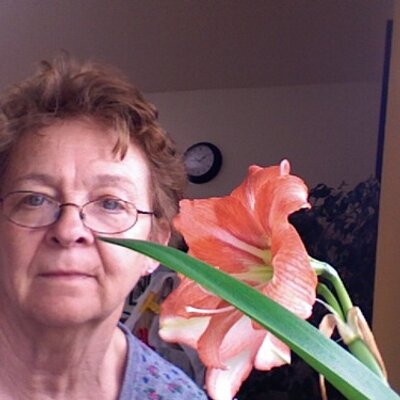 Profile Picture of Elizabeth Dart (@ekaydart) on Twitter